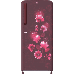 BPL Direct Cool Single Door Refrigerator | 187 L | 2 Star | Begonia Wine | BRD-F210EBPCWS
