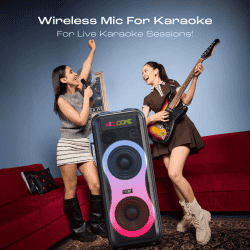 boAt PartyPal 600 Bluetooth Party Speaker | 220W | Premium Black
