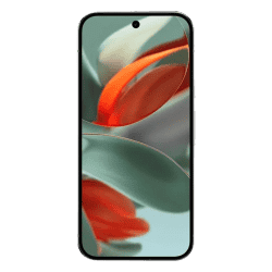 Google Pixel 9 Pro | 16 GB | 256 GB | Hazel