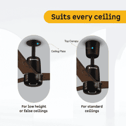 Atomberg Renesa Elite Smart | 1200 mm | BLDC Ceiling Fan with Remote Control & LED Indicators | Earth Brown