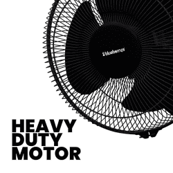 Blueberry's Ozon 12 Wall Fan | 80 Watts