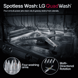 LG Free Standing Dish Washer | 14 Place Setting | QuadWash | EasyRack Plus | Matte Black | DFB424FM