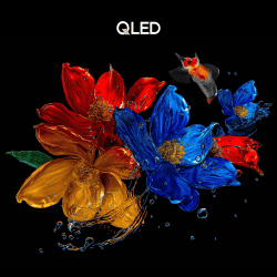 TCL P8K QLED 4K Ultra HD Smart Google TV | 248.9 cm (98 inch) | 98P8K