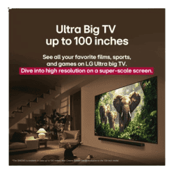 LG 4K Ultra HD Smart QNED evo AI TV | 164cm (65) | 65QNED8GA6A
