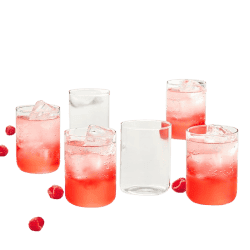 Borosil Radius Glass | 295ml | Set of 6