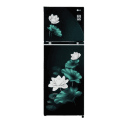 LG Double Door Convertible Refrigerator | Smart Inverter Compressor | 246L | 3 Star | Emerald Lotus | GL-S262SELX DELZEBN