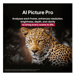LG evo AI OLED smart TV | 164cm ( 65 inch ) | OLED65C56LA