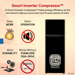 LG Frost Free Double Door Refrigerator | 288 L | 2 Star |  Enony Sheen | GL-S322SESY
