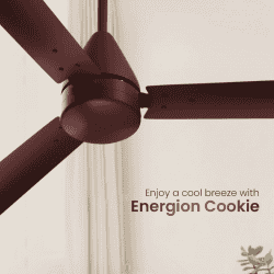 Crompton Energion Cookie BLDC 48 Ceiling Fan | 1200 mm | 5 Star | Brown