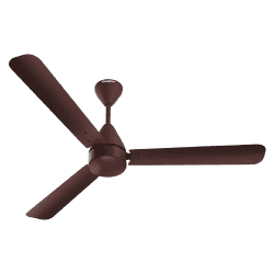 Crompton Energion Cookie BLDC 48 Ceiling Fan | 1200 mm | 5 Star | Brown