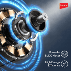 Impex BLDC Pedestal Fan | 400mm | Black | eN Save 29 PF Black