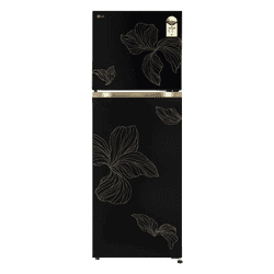 LG Frost Free Double Door Refrigerator | Smart Mode | 251 Litres | 1 Star | Radiant Onyx | GLT2516WXRO