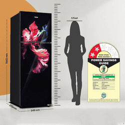 Haier Frost Free Double Door Refrigerator | 240L | 2 Star | Wave Glass | HRF-2902EWGA-P