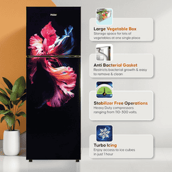 Haier Frost Free Double Door Refrigerator | 240L | 2 Star | Wave Glass | HRF-2902EWGA-P