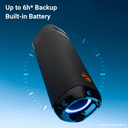 Zebronics Portable Bluetooth Speaker | 40W |  Type-C Charging | Sound Feast 250 | Black