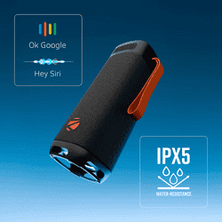 Zebronics Portable Bluetooth Speaker | 40W |  Type-C Charging | Sound Feast 250 | Black