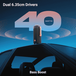 Zebronics Portable Bluetooth Speaker | 40W |  Type-C Charging | Sound Feast 250 | Black