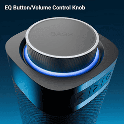 Zebronics Portable Bluetooth Speaker | 40W |  Type-C Charging | Sound Feast 250 | Black