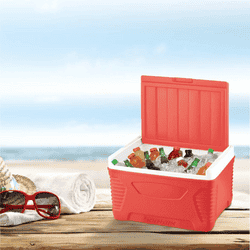Asian Thermowagon Insulated Ice Cooler | 5 litres | Ice Cube Storage | Multicolor