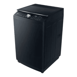 IFB Fully Automatic Top Load Washing Machine | 10 Kg | 5 Star | Royal Blue | TL100RB2SID