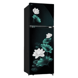 LG Frost Free Double Door Refrigerator | 251 L | 2 Star | Emerald Lotus | GLT2526XWOB