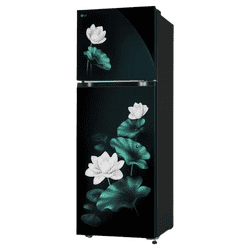 LG Frost Free Double Door Refrigerator | 251 L | 2 Star | Emerald Lotus | GLT2526XWOB