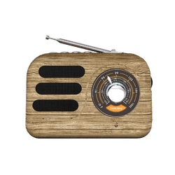 iGear Vintune Radio Mp3 Player with Bluetooth Speaker | Brown