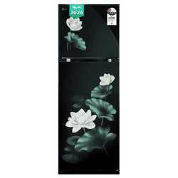 LG Frost Free Double Door Refrigerator | 251 L | 2 Star | Emerald Lotus | GLT2526XWOB