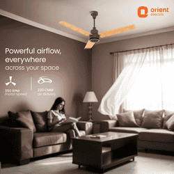 Orient Ecotech Prime CX BLDC Ceiling Fan | 1200MM | Oak Wood