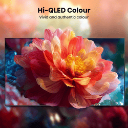 Hisense 4K Ultra HD Smart QLED TV | 139 cm (55 Inch) | 55Q6S