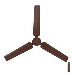 Bajaj Raftaar BLDC Ceiling Fan | 1200 mm | Coffee Brown