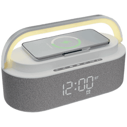 ZEBRONICS Zeb EchoGlow Bluetooth Speaker |  20W RMS | RGB Lights