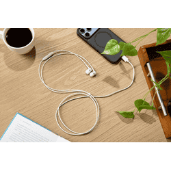 Sennheiser CX 80U Wired Type C Earphone | White