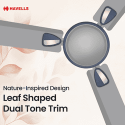Havells Exter Neo Ceiling Fan | 1200 mm | Grey