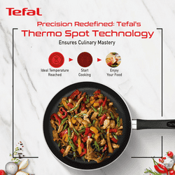Tefal Delicia Fry Pan | 24 cm | Greyish Black