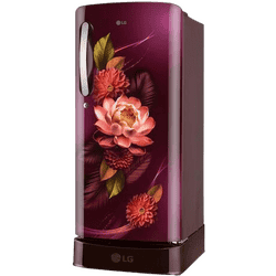 LG Direct Cool Single Door Refrigerator with Base Drawer | 185 L | 5 Star | Red Water lily | GLD1956ZARW