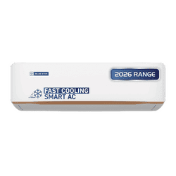 Blue Star Inverter Split AC | 2 Ton | 5 Star | White | IA522GXU