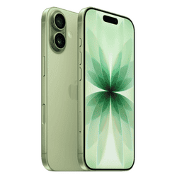 Apple iPhone 17 | 256 GB | Sage | NM