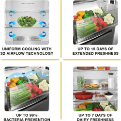 Whirlpool 325 L Frost Free Double Door Bottom Mount 3 Star Refrigerator | Omega Steel | IFPRO BM INV 340 ELT OMEGA STEEL (3S)-N
