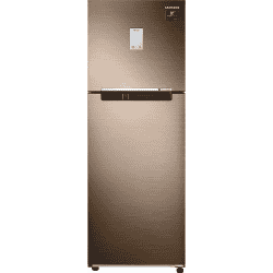 Samsung 244 L 2 Star Inverter Frost-Free Double Door Refrigerator | GOLDEN