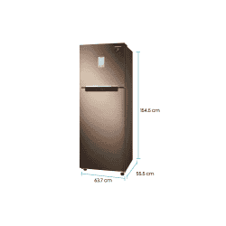 Samsung 244 L 2 Star Inverter Frost-Free Double Door Refrigerator | GOLDEN