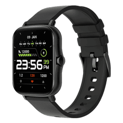 Fire-Boltt Beast Pro Smartwatch | BSW016 | Black
