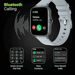 Fire-Boltt Beast Pro Smartwatch | BSW016 | Grey