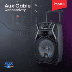 IMPEX Party Speaker with Trolley Bluetooth Home Theatre | 25 W | Black