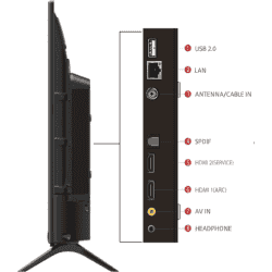 TCL | 32S5205 | 79.97 cm (32 inch) | HD Ready LED Smart TV