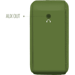 SAREGAMA Carvaan Mini Hindi  Bluetooth Speaker | Green