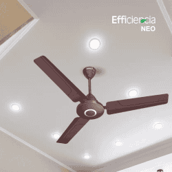 HAVELLS Efficiencia Neo  Ceiling Fan | 3 Blade | 1200 mm | BLDC Motor | Brown