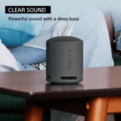 Sony Portable Bluetooth Speaker | 2.5 W | Black | SRS XB100
