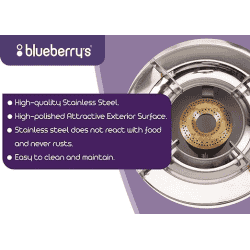 Blueberry's Blaze Full Stainless Steel Gas Stove | 3 Burner