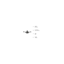 PIGEON  NONSTICK APPACHATTY | 4MM